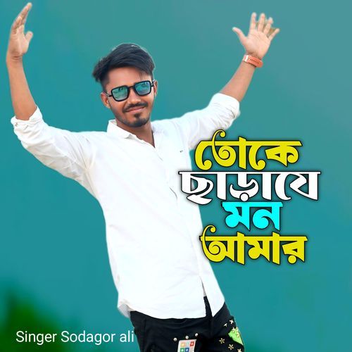Toke Shara Mon Amar
