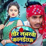 Tor Labhrwa Kkanichau