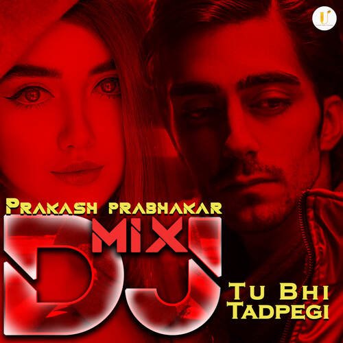 Tu Bhi Tadpegi DJ Mix