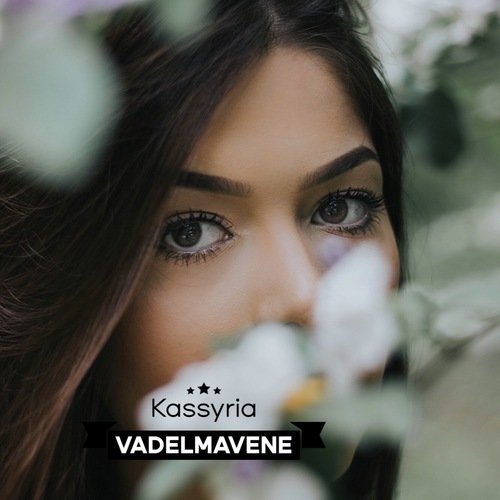 Vadelmavene cover art