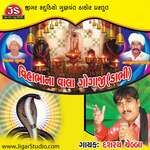 Vihabha Na Vahla Gogaji