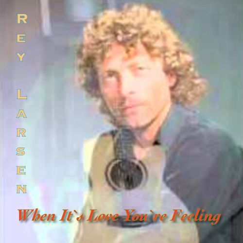 I Don´t Give In cover art