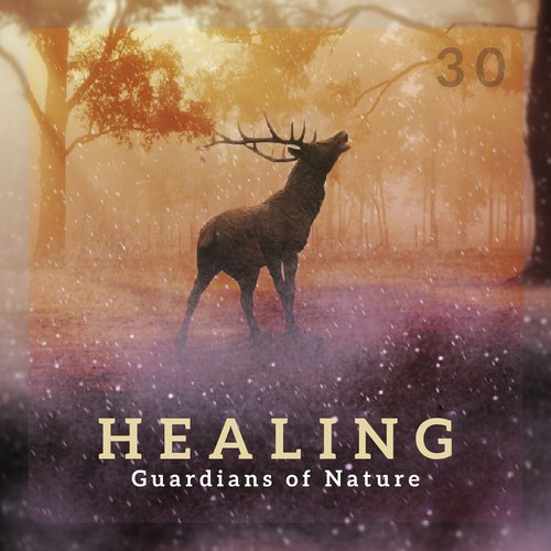 30 Healing Guardians of Nature (Emotional Relief Sanctuary, Influence of Silence, Dreams Protection, Calming Balance)