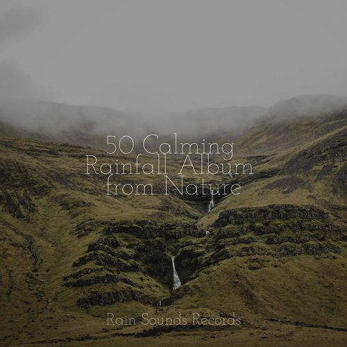 50 Calming Rainfall Album from Nature