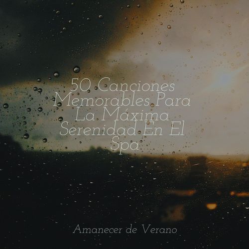 50 Canciones Memorables Para La Máxima Serenidad En El Spa