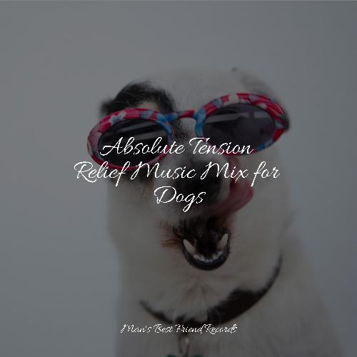 Calm cover art