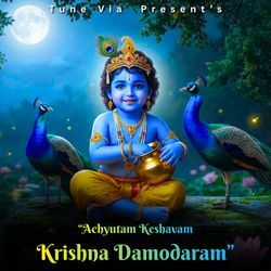 Achyutam Keshavam Krishna Damodaram
