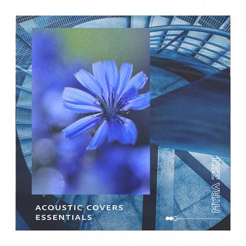 Soft Analog cover art