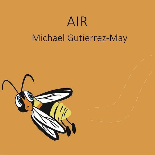 Air cover art