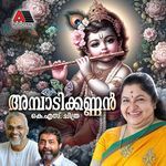 Ambadi Kannan