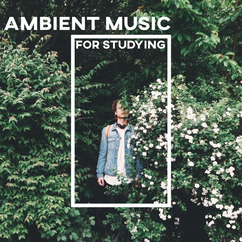 Ambient Music for Studying: Motivational Songs with Water Sounds for Full Science Immersion