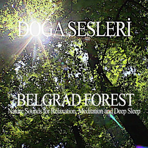 Belgrade Forest Lost in Green (Extented)
