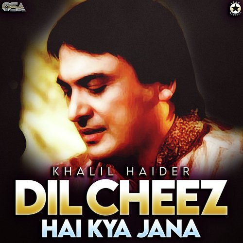 Dil Cheez Hai Kya Jana_poster_image