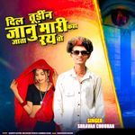 Dil tudin janu mari kaha jata ray vo