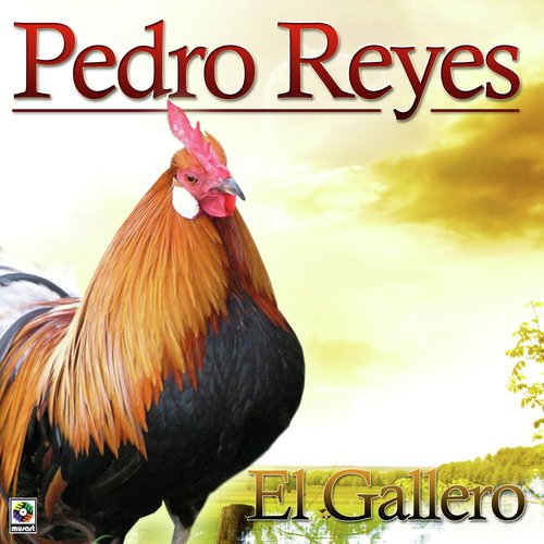 Mi Nave cover art