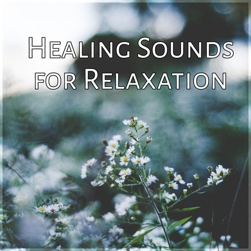 Healing Sounds for Relaxation – Ocean Waves & Rain Sounds, New Age Music, Total Relax, Deep Relaxation & Meditation