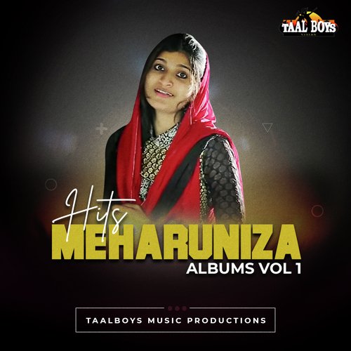 Hits Of Meharuniza Albums, Vol. 1