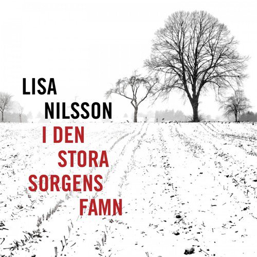 I den stora sorgens famn_poster_image