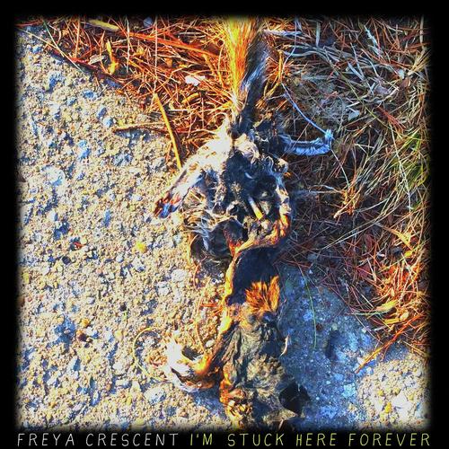 listening to the andrews sisters in a funeral home parking lot cover art