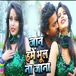 Jaan Hame Bhul Naa Jana
