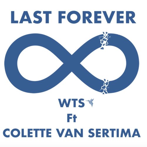 Last Forever (Soblu Remix)_poster_image