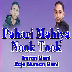 Pahari Mahiya Nook Took-SS4IUDh5VHU