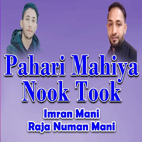 Pahari Mahiya Nook Took