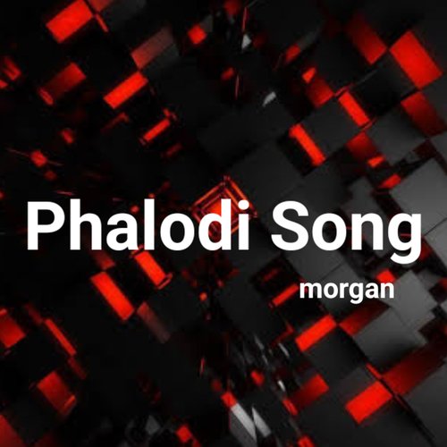 Phalodi Song