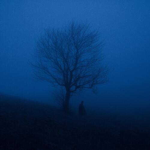 A Lonely Walk in the Mist