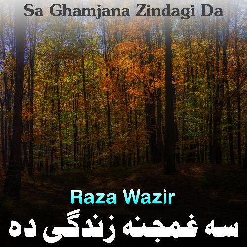 Sa Ghamjana Zindagi Da