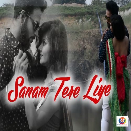 Sanam Tere Liye (Original Motion Picture Soundtrack)