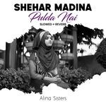 Shehar Madina Pulda Nai (Lofi-Mix) artwork