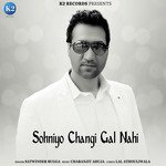 Sohniyo Changi Gal Nahi - Single