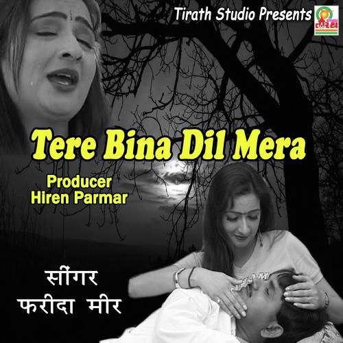 Tere Bin Dil_poster_image