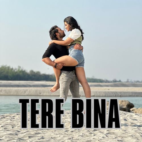 Tere Bina