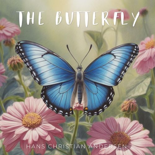 The Butterfly_poster_image