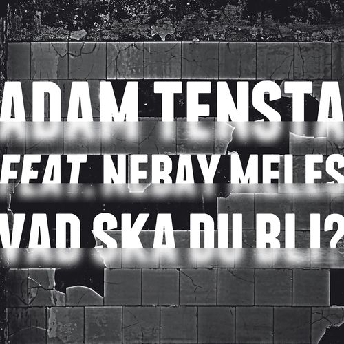 Vad ska du bli? (feat. Nebay Meles)_poster_image