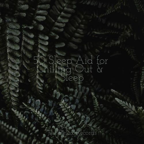 Melodic Immersion Waltz cover art