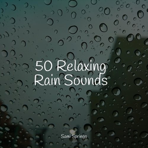 50 Soothing Winter Rain Sounds_poster_image