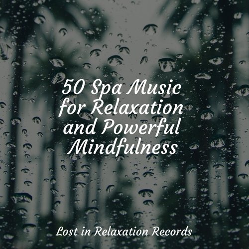 50 Spa Music for Relaxation and Powerful Mindfulness