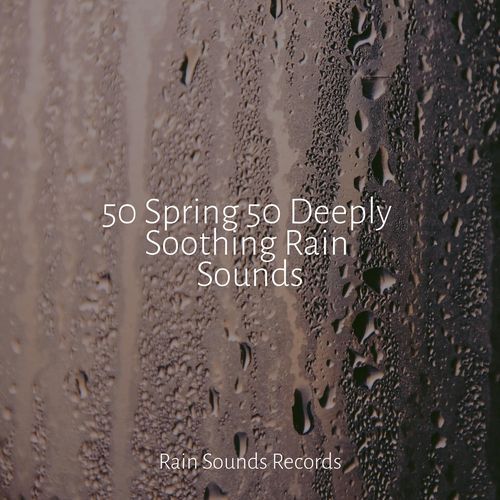 50 Spring 50 Deeply Soothing Rain Sounds