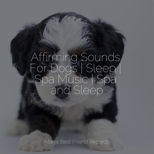 Affirming Sounds For Dogs | Sleep | Spa Music | Spa and Sleep