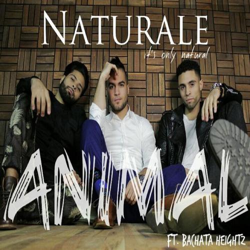 Animal (feat. Bachata Heightz)_poster_image