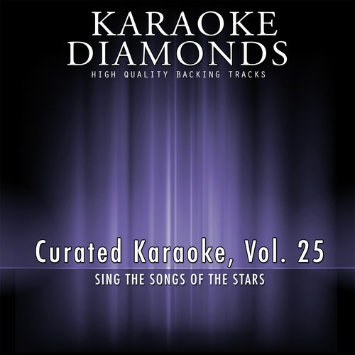 Curated Karaoke, Vol. 25