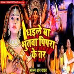 Dhaile Ba Bhootwa Pipara Ke Tar