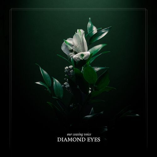 Diamond Eyes