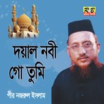 Doyal Nobi Go Tomi Habib (Bengali Song)