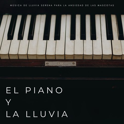 El Piano Y La Lluvia: Música De Lluvia Serena Para La Ansiedad De Las Mascotas