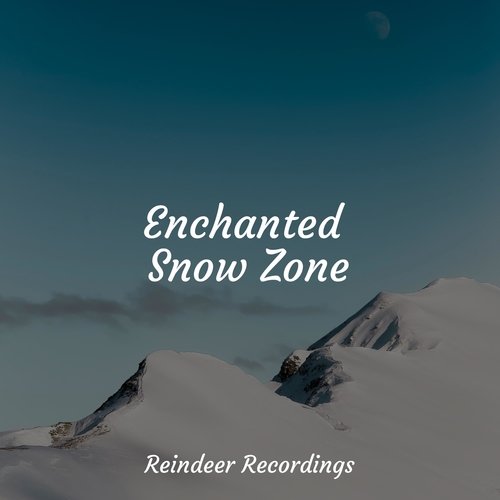 Enchanted Snow Zone
