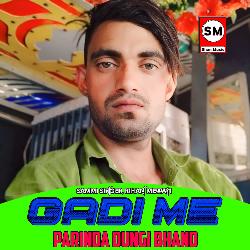 Gadi Me Parinda Dungi Bhandh-Jg8nfhhoD0s